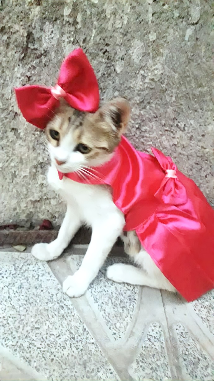 Kızım Maneli