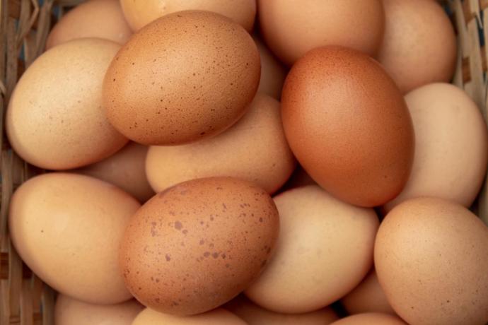 Bir Yumurtada Kaç Gram Protein Bulunur?