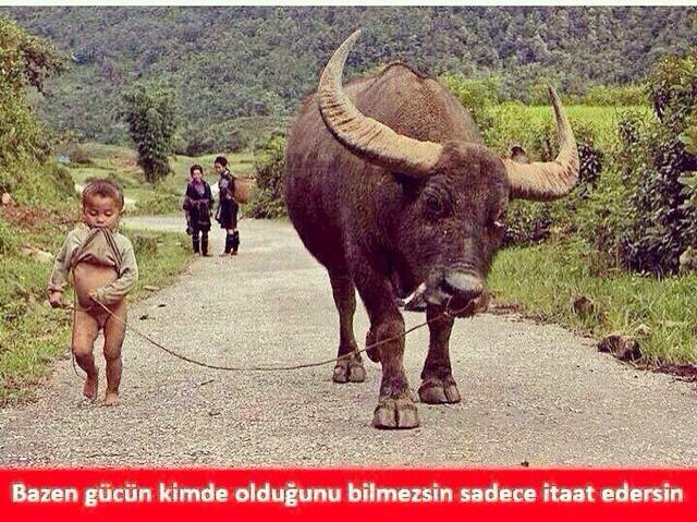 Kadın, erkeği kaçırma gücüne sahipler mi sizce?