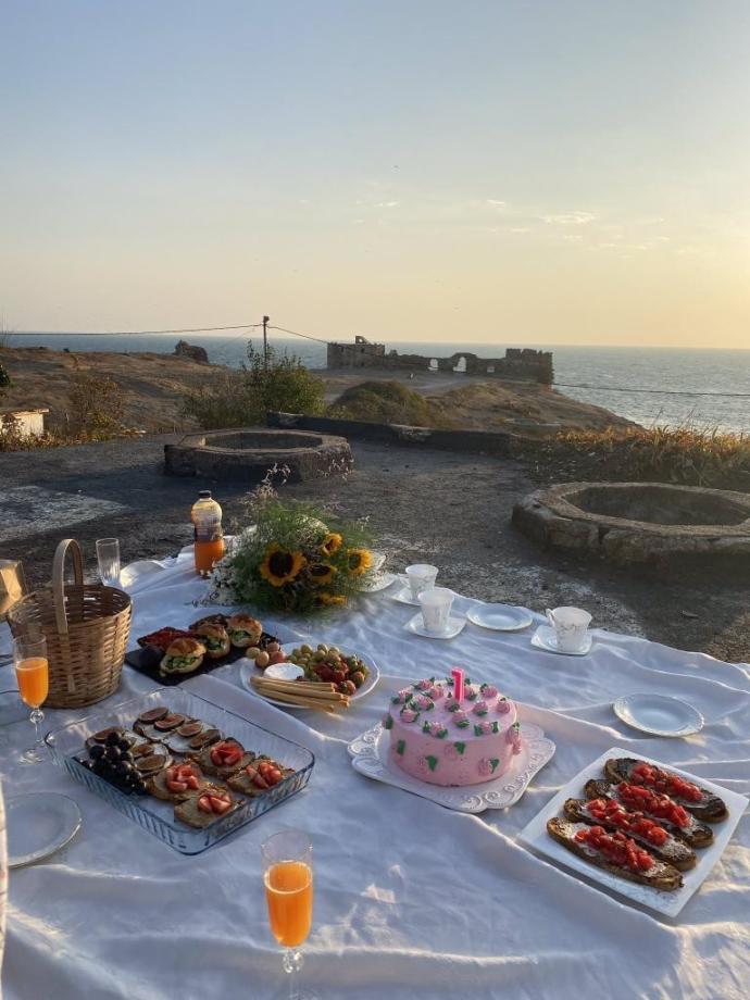 Piknik yapmaya giderken piknik sepetinizi hangi yemeklerle doldurursunuz?