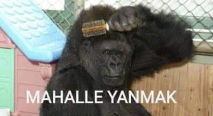 Obsesif kompulsif bozukluk nasıl yenilir?