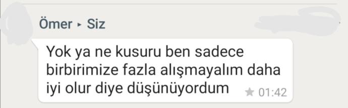 Birbirimize Fazla Alışmayalım daha iyi olur diye düşünüyorum ne demek?
