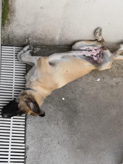 Bu kız neden her görüşmemizde beni ısırıyor?