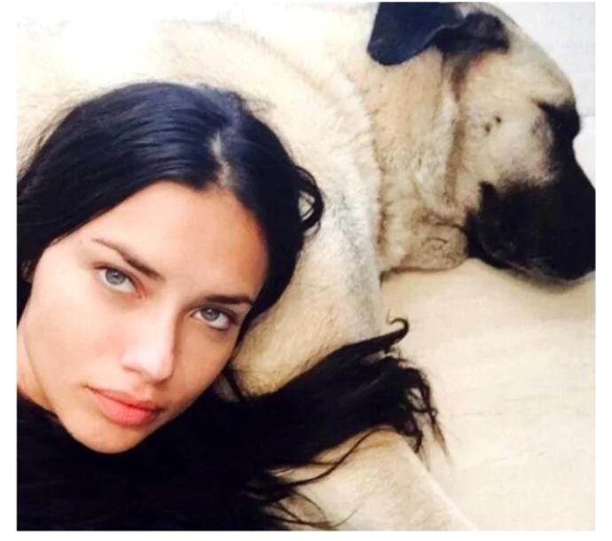 Adriana Lima 2 tane kangal köpeği sahiplendi. Kangal köpeklerini sever misiniz?