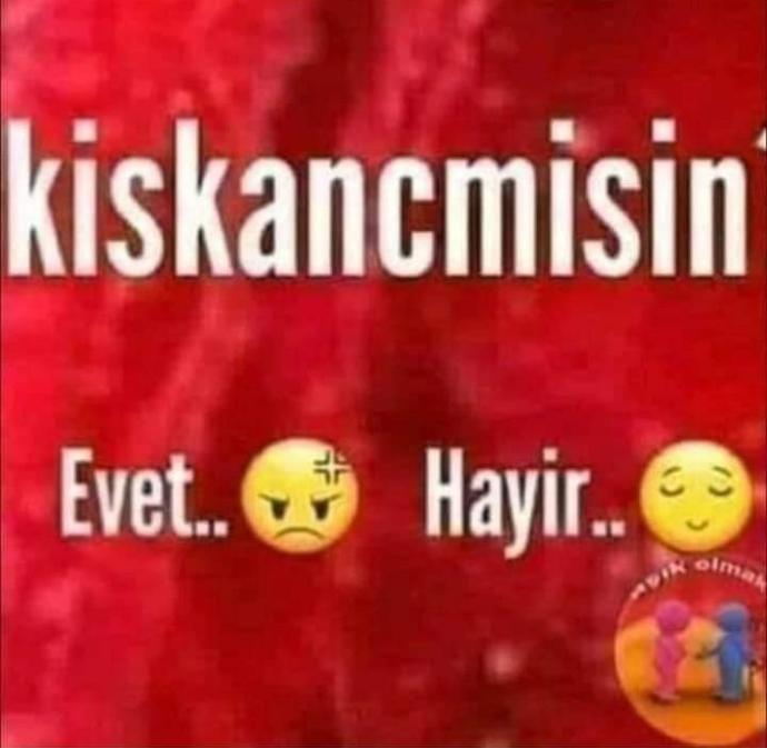 Aileni Eşini Arkadaşını Sevgilini kıskanır mısın?