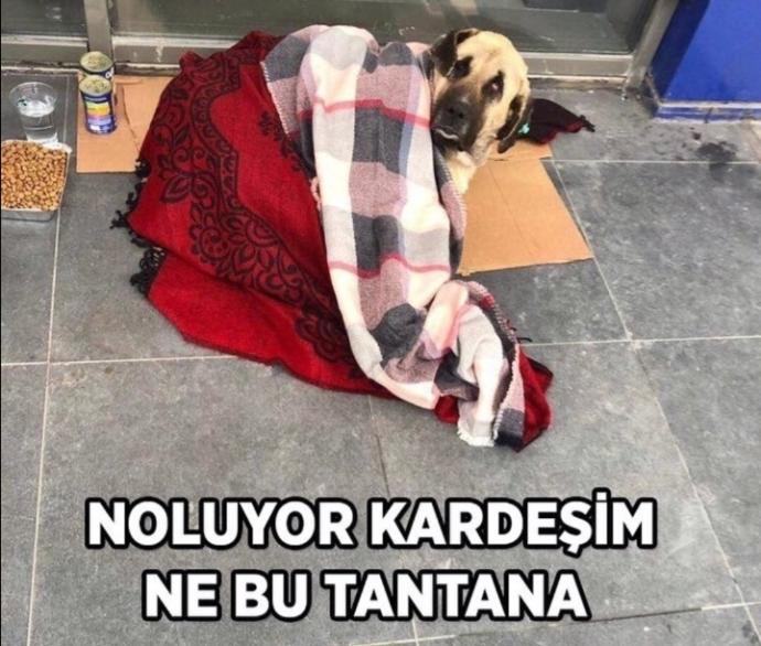 ❤️ ❤️ ❤️ ❤️