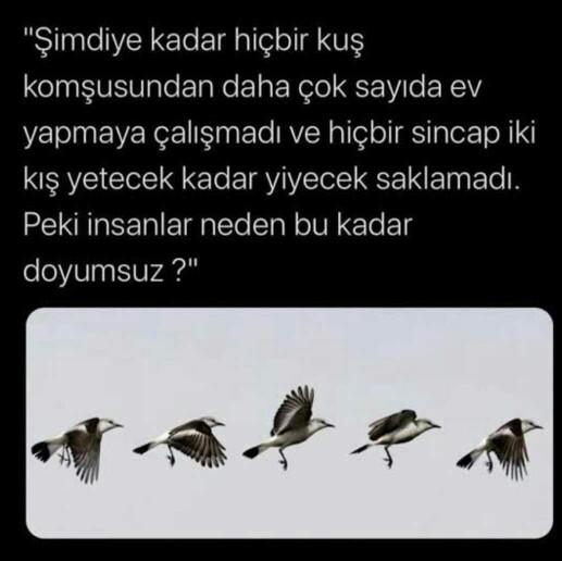 İnsan neden bu kadar doyumsuzdur? Neden elindekilerle yetinmez? Neden kendini frenleyemez?
