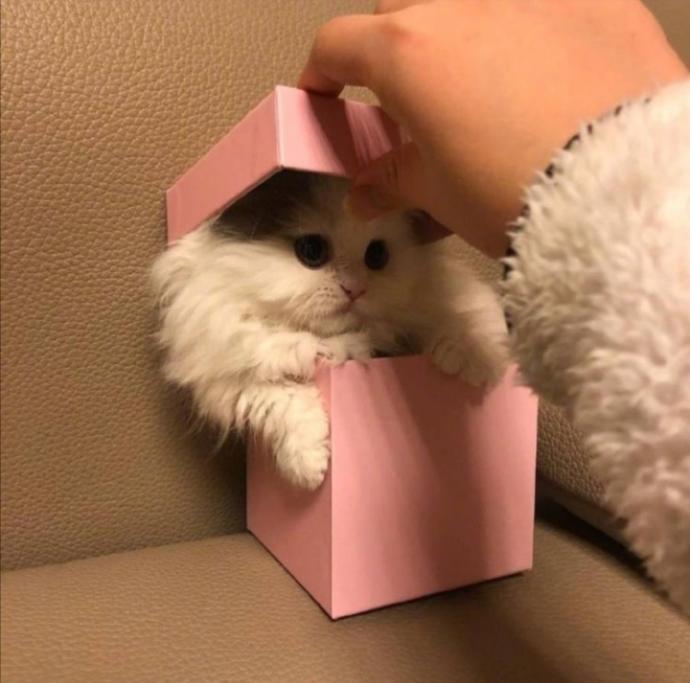❤️ ❤️ ❤️ ❤️ ❤️