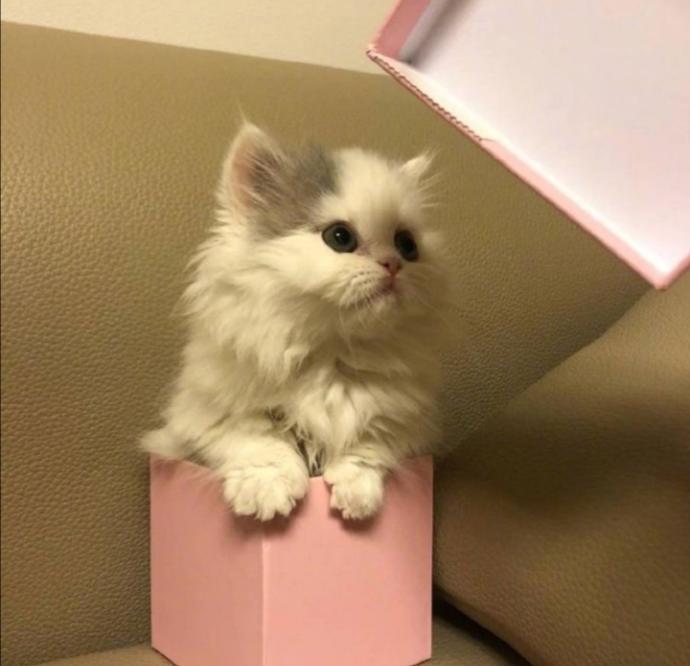❤️ ❤️ ❤️ ❤️