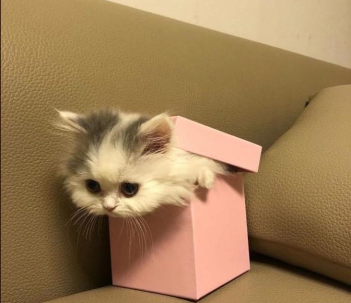 ❤️ ❤️ ❤️ ❤️ ❤️