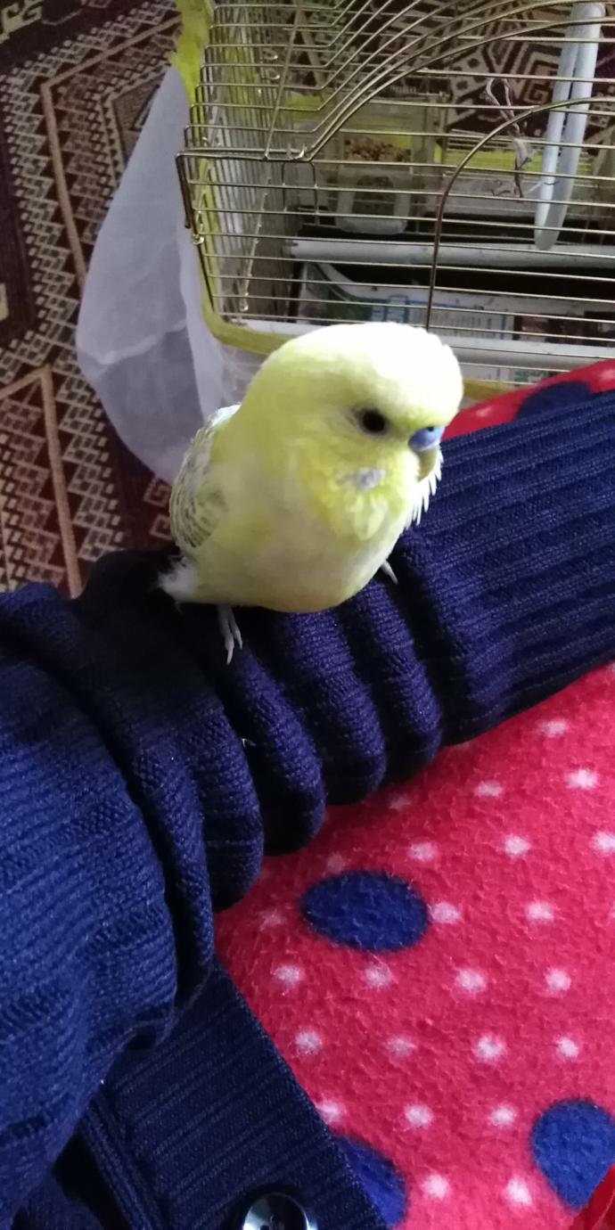 😍