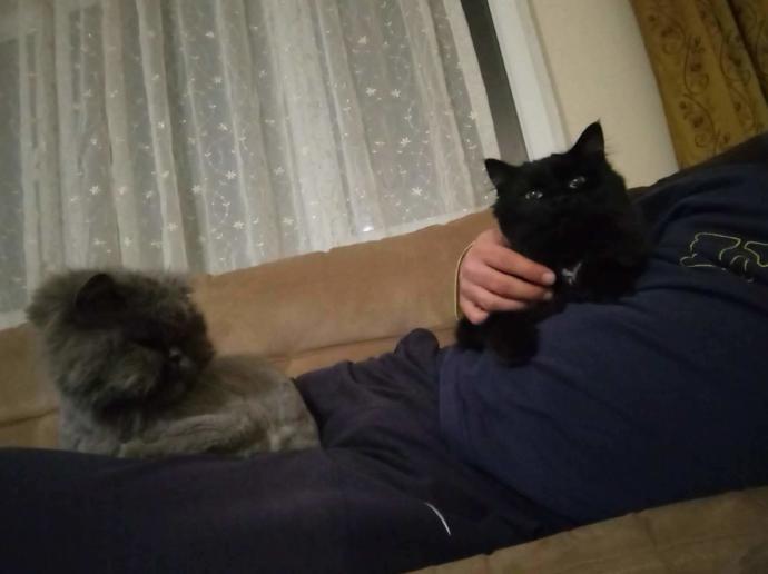 Oğlum Gölge, kızım Gece. 