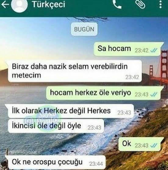 Mesajınıza "OK" diye cevap veren insanlara karşı tutumunuz ne oluyor?