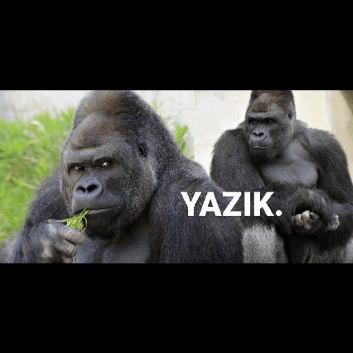 "Sarhoştum hatırlamıyorum" aldatma için geçerli bir bahane midir?