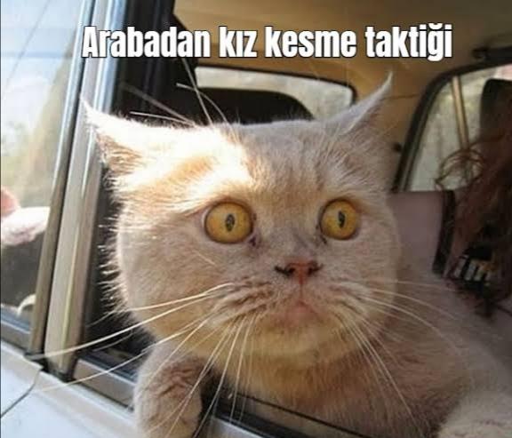 Seyir halinde ya da kırmızı ışıktayken kız - erkek kestiğiniz oluyor mu?