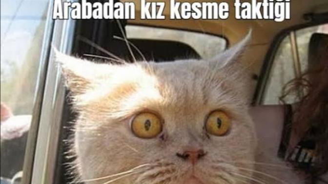 Seyir halinde ya da kırmızı ışıktayken kız - erkek kestiğiniz oluyor mu?