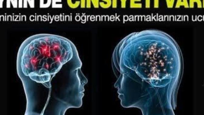 Sizce yüzde % kaç kadın  ya da  erkeksiniz?
