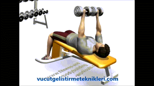 Sporla göğüs dikleşir mi?