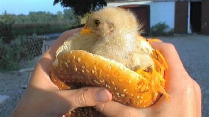 Öğrencilik yıllarında yediğiniz en garip yemek neydi?