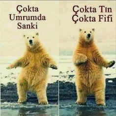 Burçlar diyorki? Acaba sen diyorsun peki?
