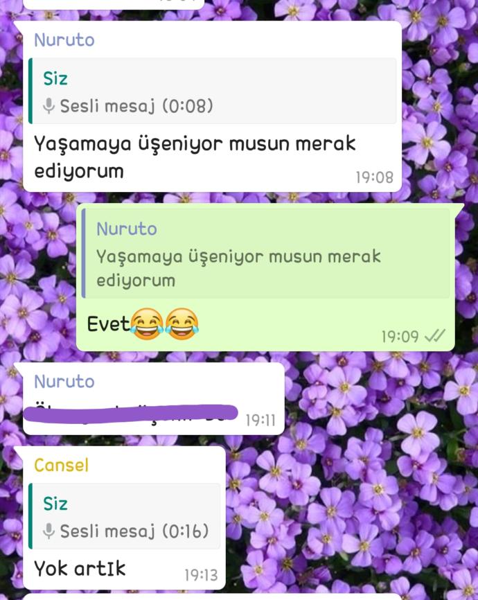 Sesli mesaj atmak üşengeçlik midir?