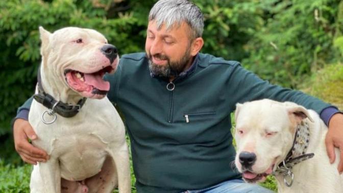 Youtuber Recep Bayraktar'ın köpeklerine el konulması hakkında ne düşünüyorsunuz?