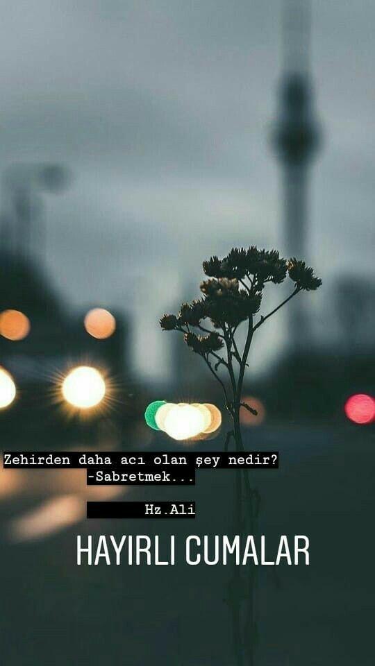 Zehirden daha acı olan şey nedir?