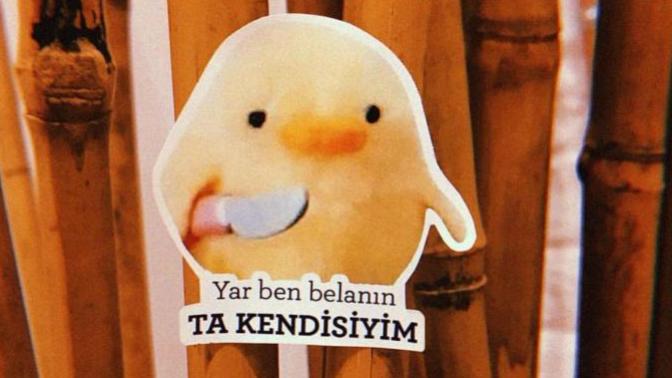 Belalı Mısın Kendi Halinde Takılan Sessiz Sakin Ponçik Biri Misin :D?