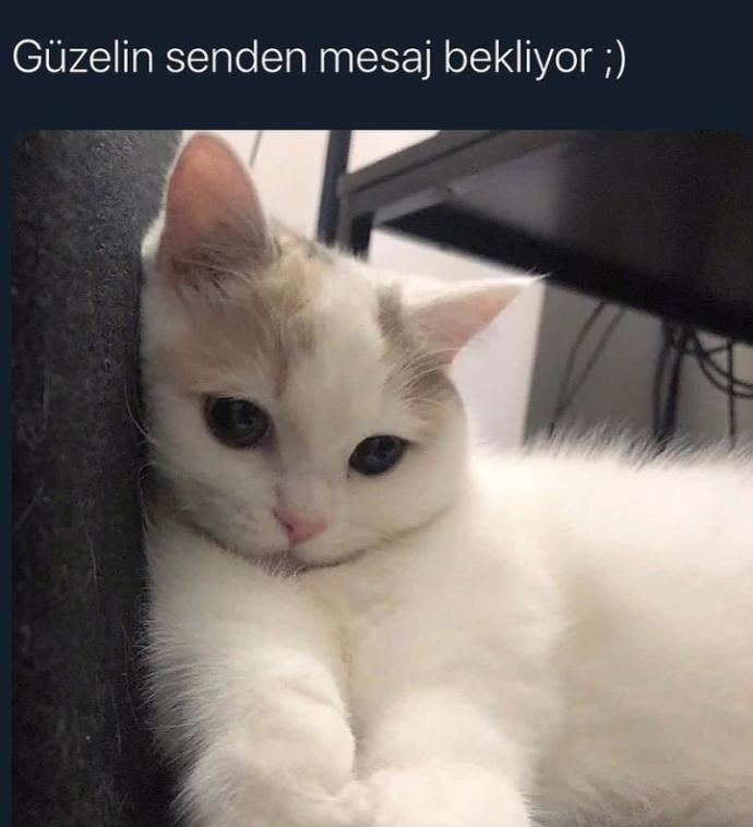 Herhangi bir yerden mesaj beklediğiniz birileri var mı hayatınızda?