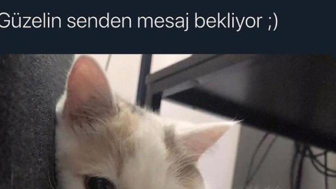 Herhangi bir yerden mesaj beklediğiniz birileri var mı hayatınızda?