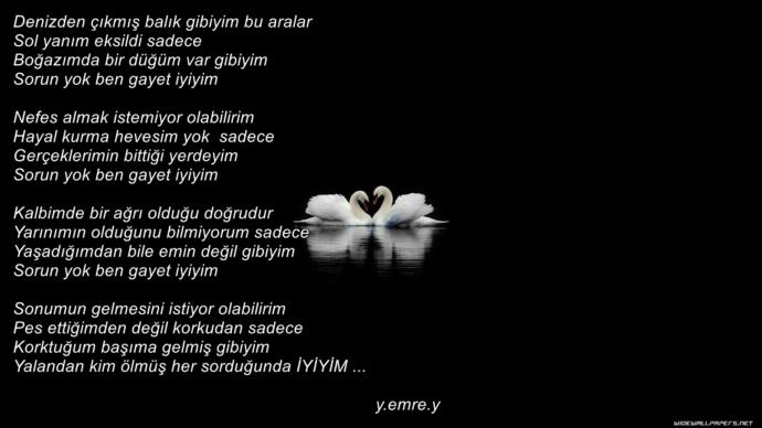 Şiirim olmuş mu?