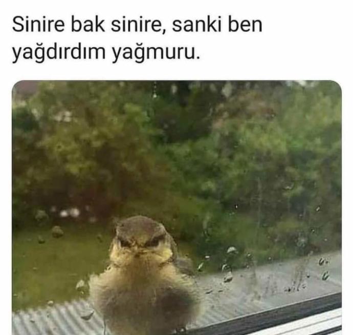 Selam KS sakinleri..😊