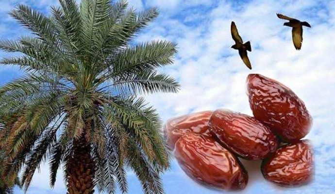 Hurma zayıflatır mı? Hurmayla zayıflayanlar var mı?