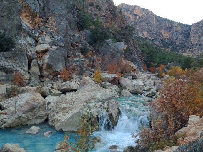 Fotoğraf yarışması yapalım mı?
