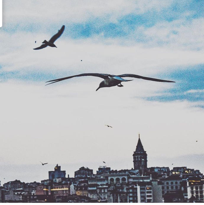 Fotoğraf yarışması yapalım mı?