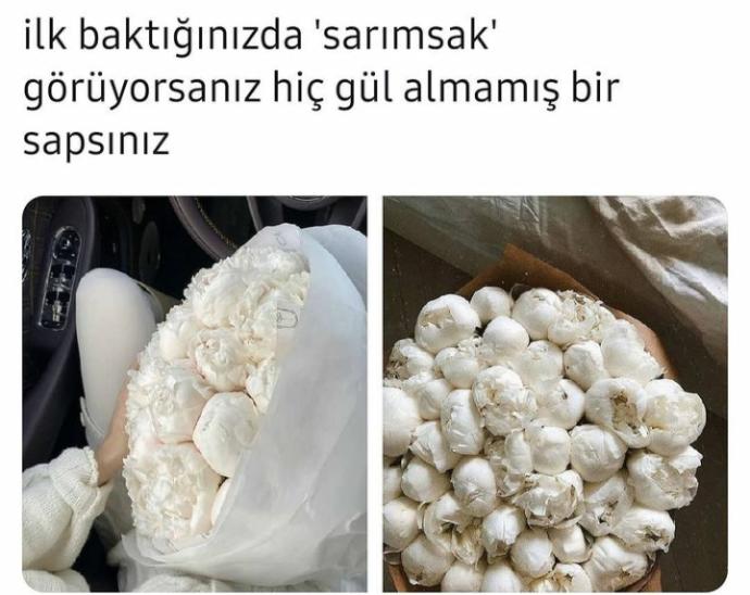 Ne kadar sapsınız söyliyim mi?