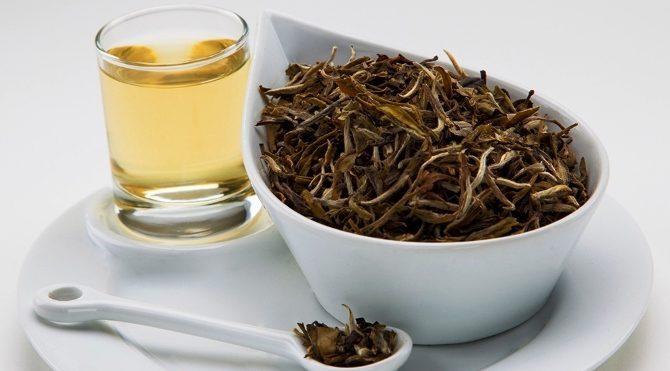 En Hızlı Yağ Yakıcı Bitki Çayları Hangileridir, Tavsiyeniz Var mı?