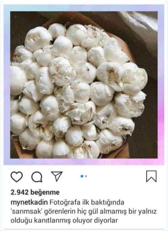 Gül mü görüyorsunuz sarımsak mı?