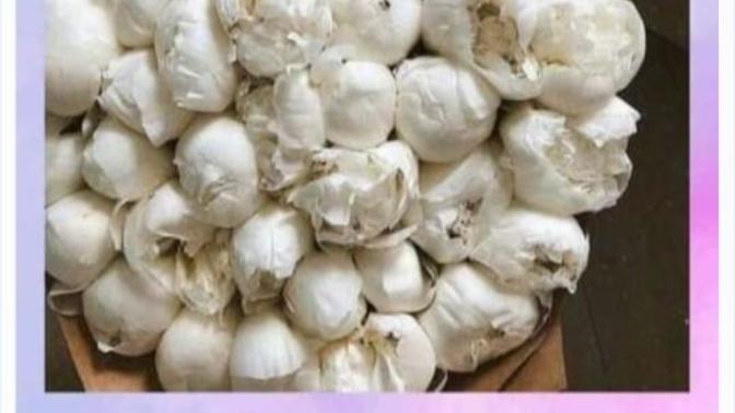 Gül mü görüyorsunuz sarımsak mı?