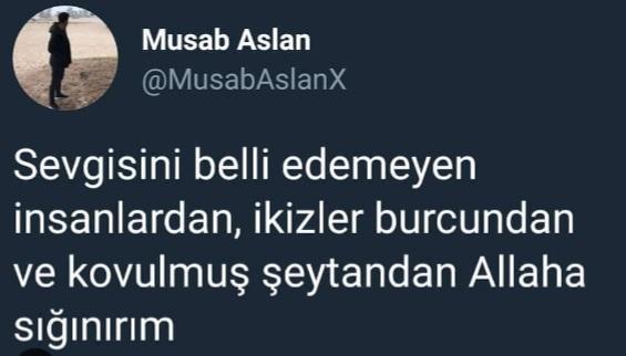 Bir Aslan kükredi peki, ikizler burcu ne yapar?