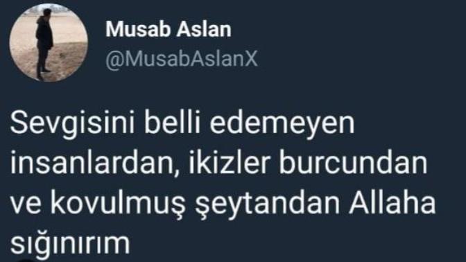 Bir Aslan kükredi peki, ikizler burcu ne yapar?