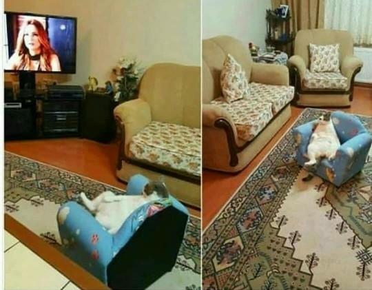 Yılbaşından beklentin nedir?