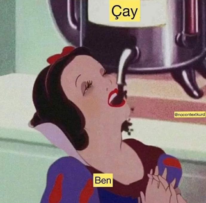 Sizi puanlıyım mı?