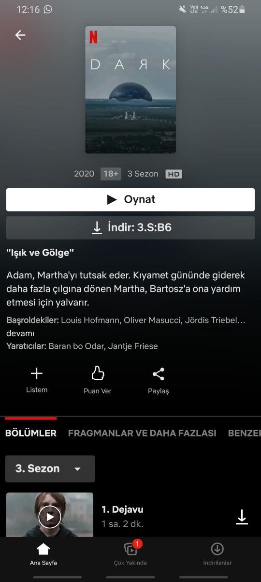 Netflix dizilerini nasıl buluyorsunuz?