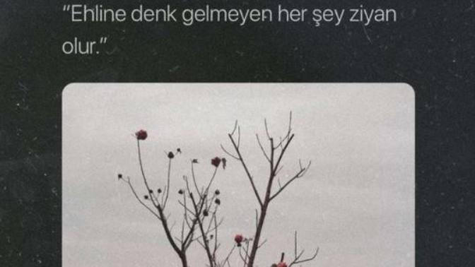 Sizce evlilikte denklik önemli? Siz denkliğe ne kadar önem veriyorsunuz?