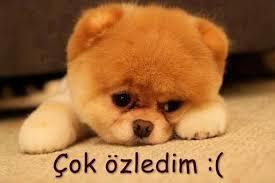 Söylenecek tek şey. Çok özledim :(