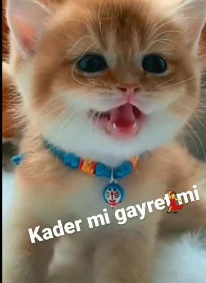 İki insanın birbiriyle karşılaşması kadere, tanıştıktan sonra yan yana kalmaları ise onların gayretine bağlımı?