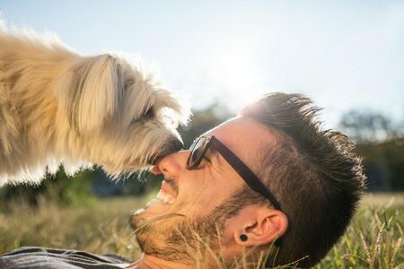 Kedilerin ve köpeklerin karakteri, sahibinin karakterine mi benzer?
