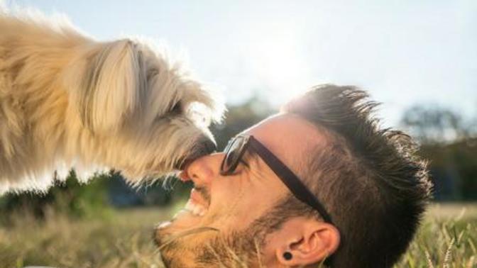Kedilerin ve köpeklerin karakteri, sahibinin karakterine mi benzer?