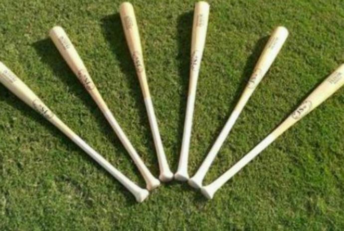Beyzbol sopasını sporda mı kullanırdınız kavga da mı?
